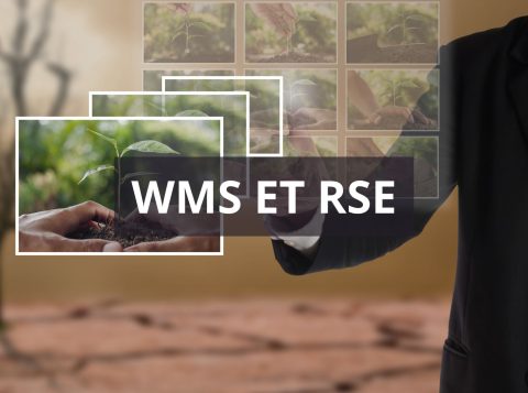 WMS et RSE en entreprise Klocel